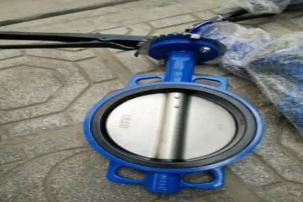 Van bướm DN250